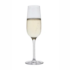 Drink! Champagne Flute, Set Of 6 -Glassware Sales Store drink flute
