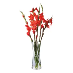 Florabundance Gladioli Vase